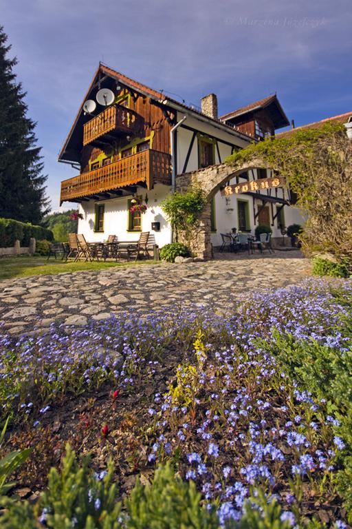 Willa Krokus Miedzygorze Exterior foto